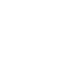 RobbyV Logo